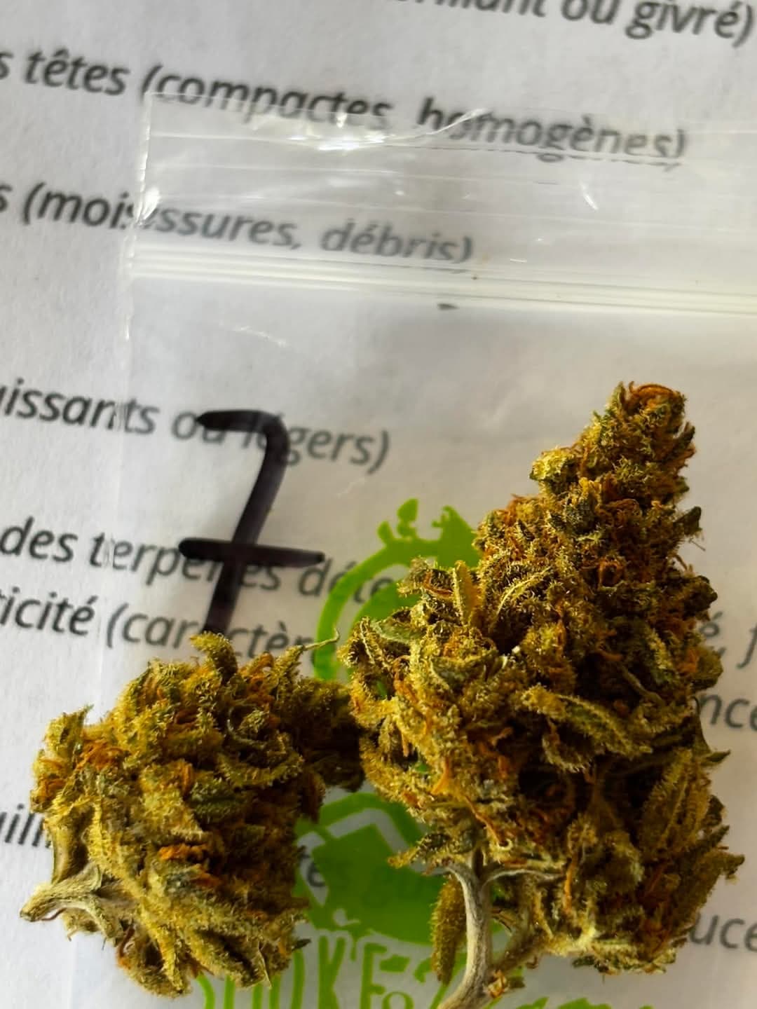 Bruce Banner · Mysticbd