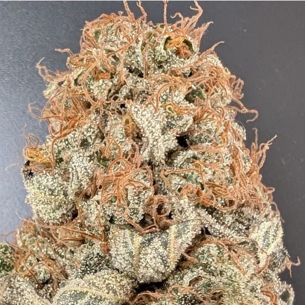 Kalité Réunion - Producteur de CBD Péi